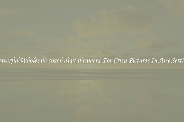 Powerful Wholesale coach digital camera For Crisp Pictures In Any Setting
