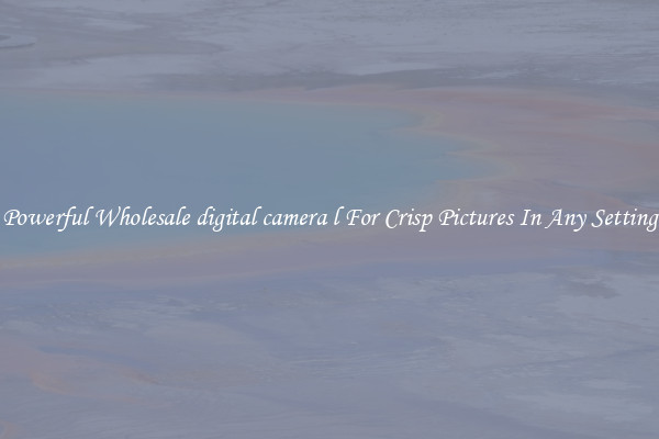 Powerful Wholesale digital camera l For Crisp Pictures In Any Setting