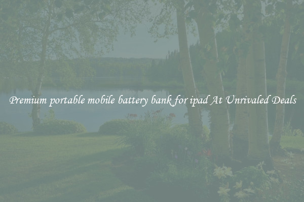 Premium portable mobile battery bank for ipad At Unrivaled Deals