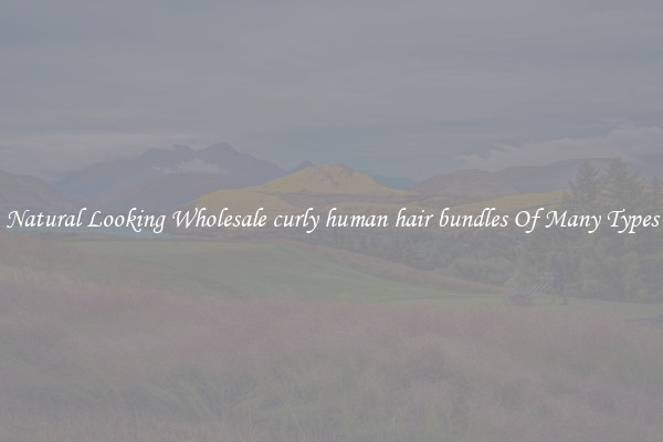 Natural Looking Wholesale curly human hair bundles Of Many Types