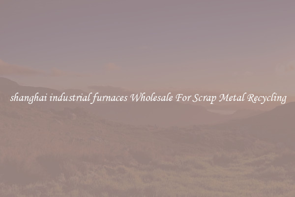 shanghai industrial furnaces Wholesale For Scrap Metal Recycling
