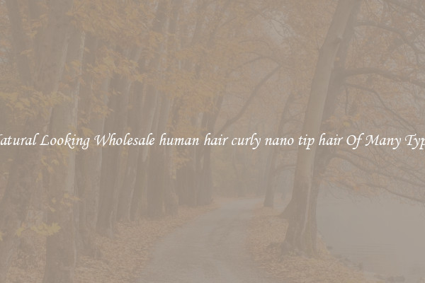 Natural Looking Wholesale human hair curly nano tip hair Of Many Types