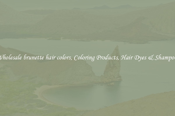 Wholesale brunette hair colors, Coloring Products, Hair Dyes & Shampoos