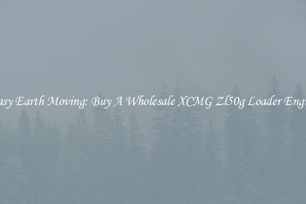Easy Earth Moving: Buy A Wholesale XCMG Zl50g Loader Engine