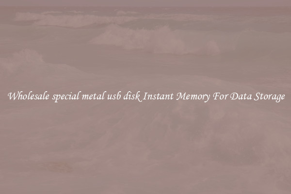 Wholesale special metal usb disk Instant Memory For Data Storage
