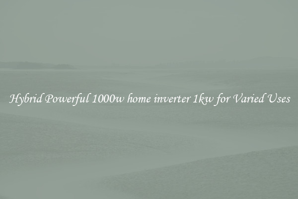 Hybrid Powerful 1000w home inverter 1kw for Varied Uses