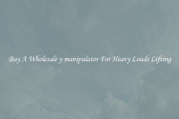 Buy A Wholesale y manipulator For Heavy Loads Lifting
