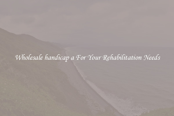 Wholesale handicap a For Your Rehabilitation Needs