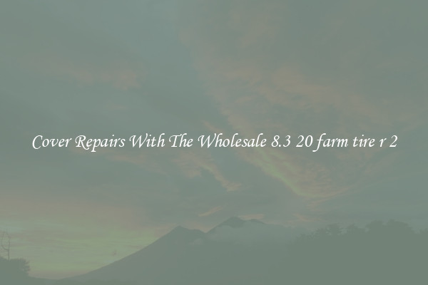  Cover Repairs With The Wholesale 8.3 20 farm tire r 2 
