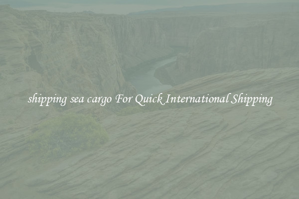 shipping sea cargo For Quick International Shipping
