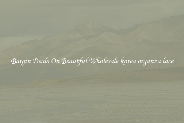 Bargin Deals On Beautful Wholesale korea organza lace