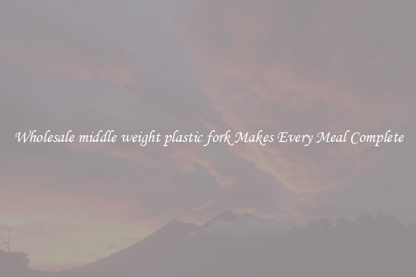 Wholesale middle weight plastic fork Makes Every Meal Complete