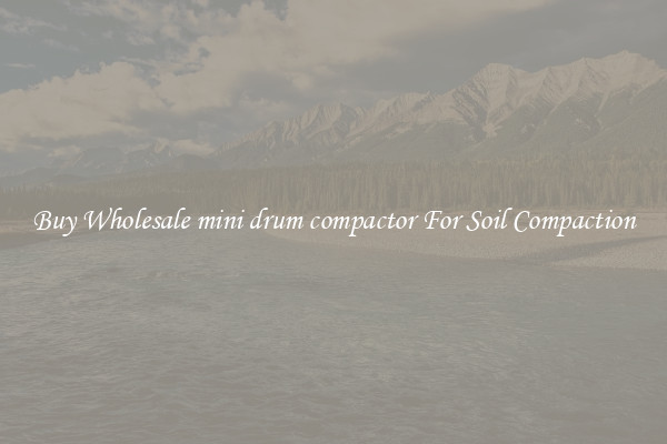Buy Wholesale mini drum compactor For Soil Compaction