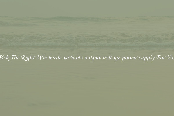 Pick The Right Wholesale variable output voltage power supply For You