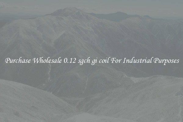 Purchase Wholesale 0.12 sgch gi coil For Industrial Purposes