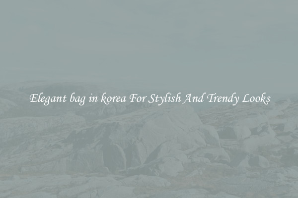 Elegant bag in korea For Stylish And Trendy Looks