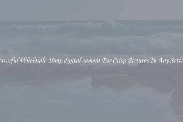 Powerful Wholesale 10mp digital camera For Crisp Pictures In Any Setting