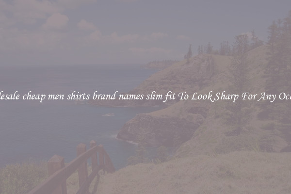 Wholesale cheap men shirts brand names slim fit To Look Sharp For Any Occasion