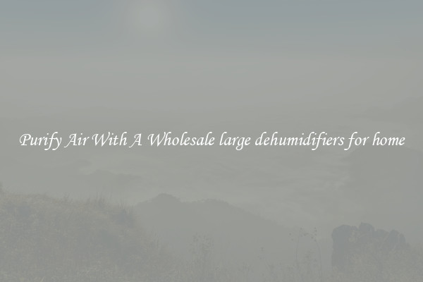Purify Air With A Wholesale large dehumidifiers for home
