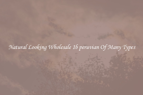 Natural Looking Wholesale 1b peruvian Of Many Types