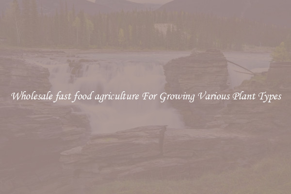 Wholesale fast food agriculture For Growing Various Plant Types