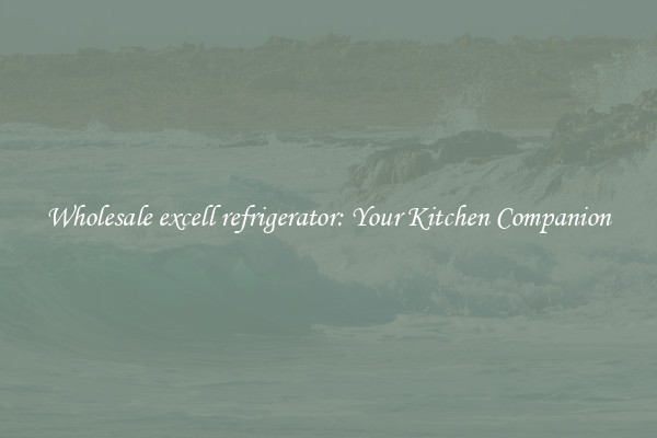 Wholesale excell refrigerator: Your Kitchen Companion